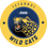 İstanbul Wildcats